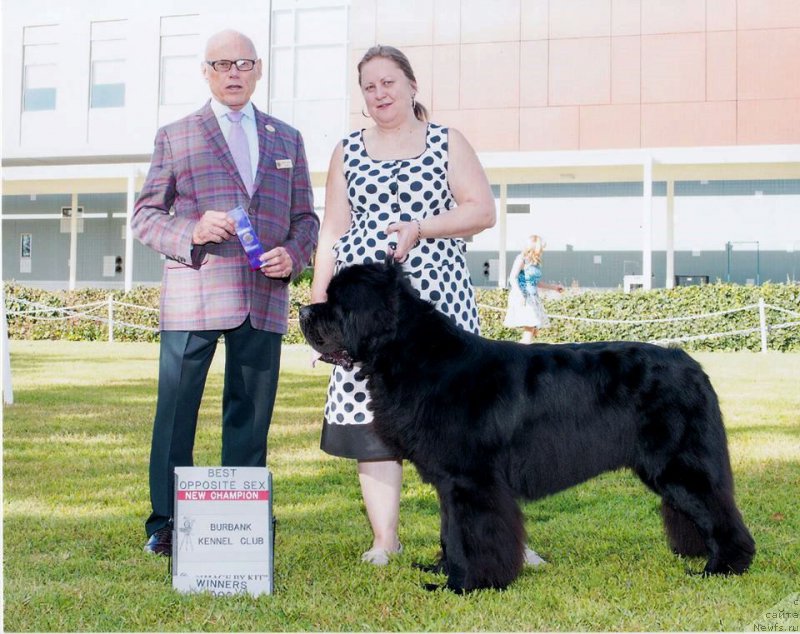 Фотография № 195060