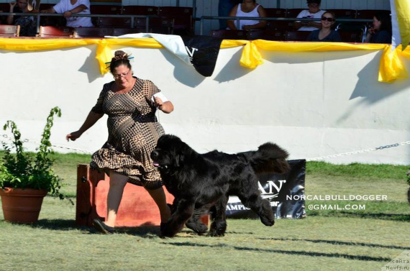 Фотография № 195062