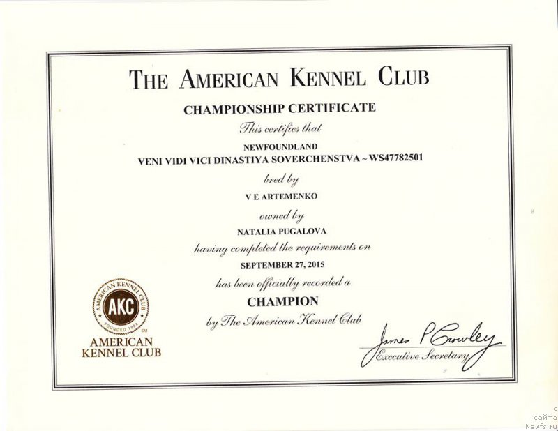 Фотография № 195065