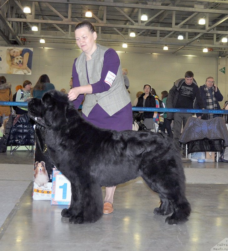 Фотография № 195068