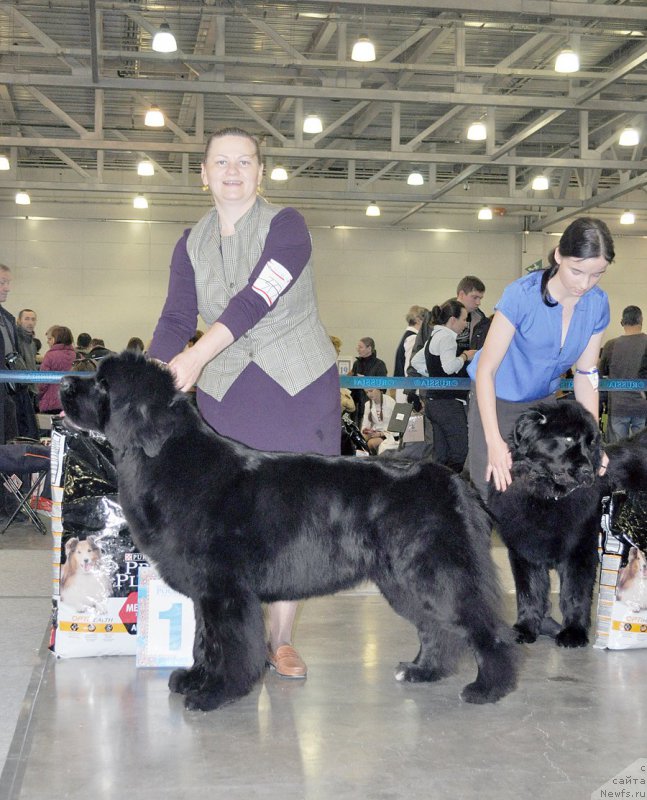 Фотография № 195071