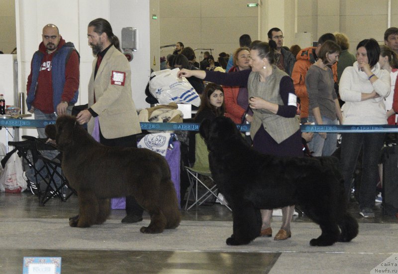 Фотография № 195073