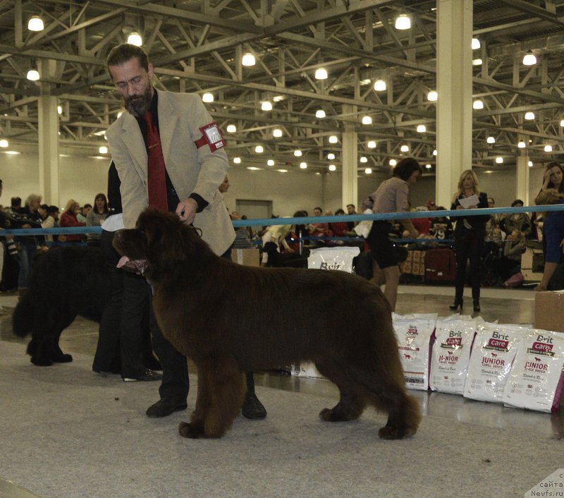 Фотография № 195075