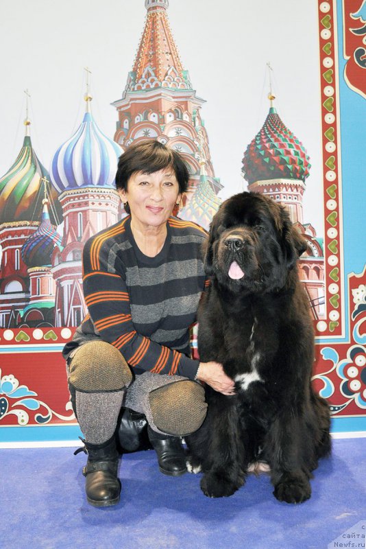 Фотография № 195079