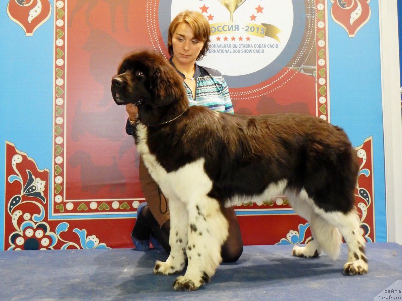 Фотография № 195094