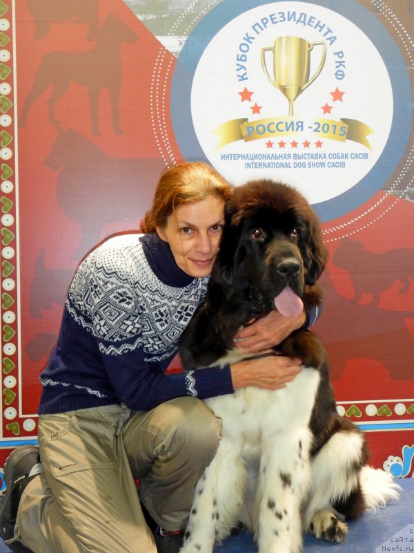 Фото: ньюфаундленд Питерньюф Бурберру (Piternyuf Burberry)