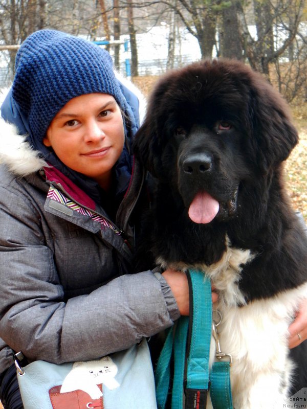 Фотография № 195096