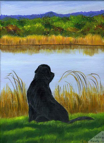 Фотография № 195106