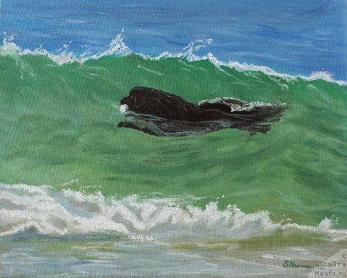 Фотография № 195107