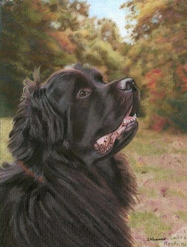 Фотография № 195108