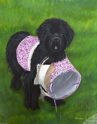 Фотография № 195109