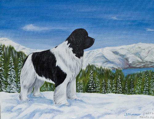 Фотография № 195110