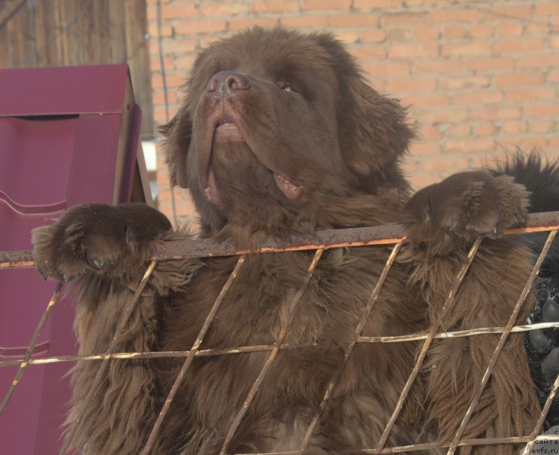 Фотография № 195129