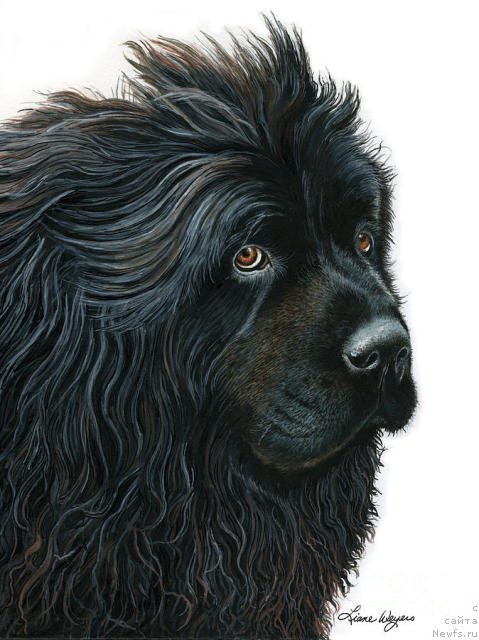 Фотография № 195134