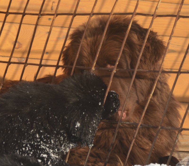 Фото: [d14446] и дети