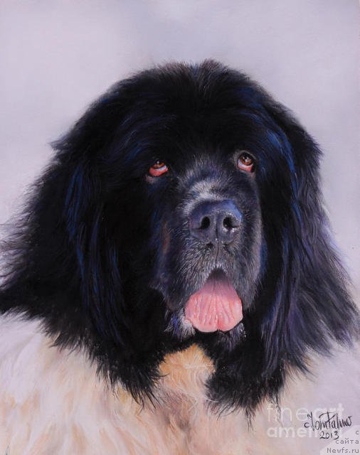 Фотография № 195139