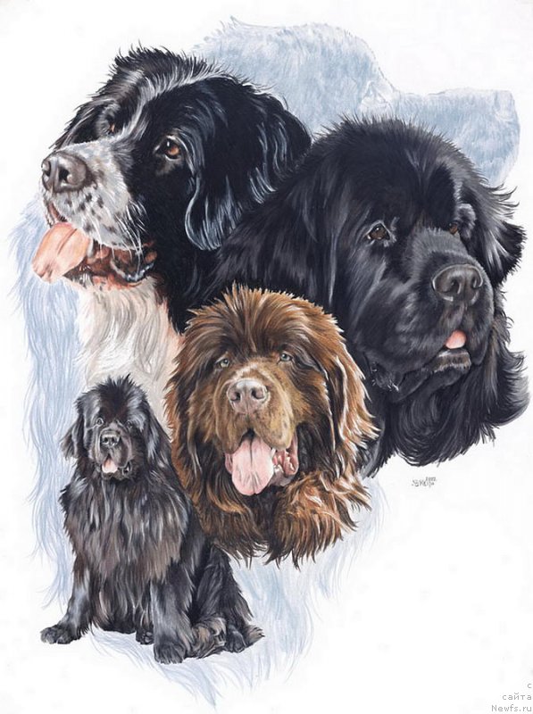 Фотография № 195141