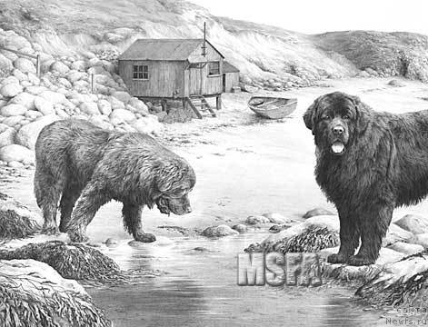 Фотография № 195158