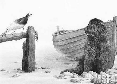 Фотография № 195160