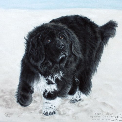 Фотография № 195161