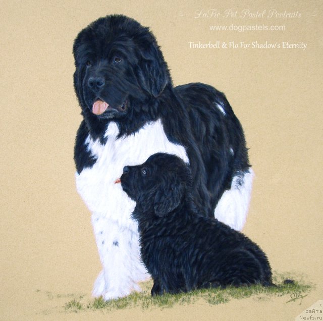 Фотография № 195165