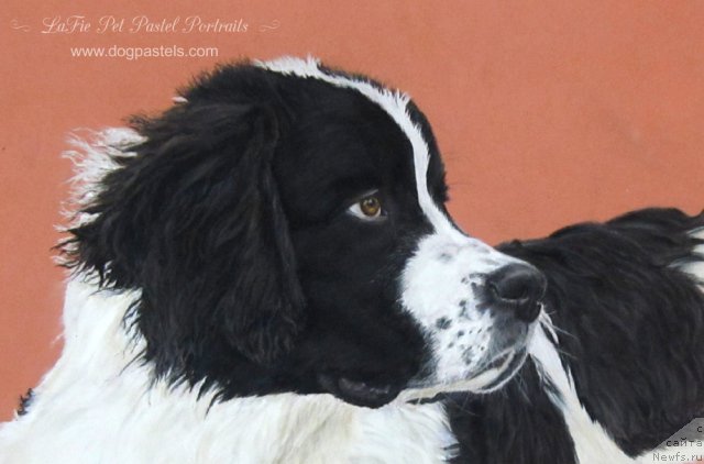 Фотография № 195168