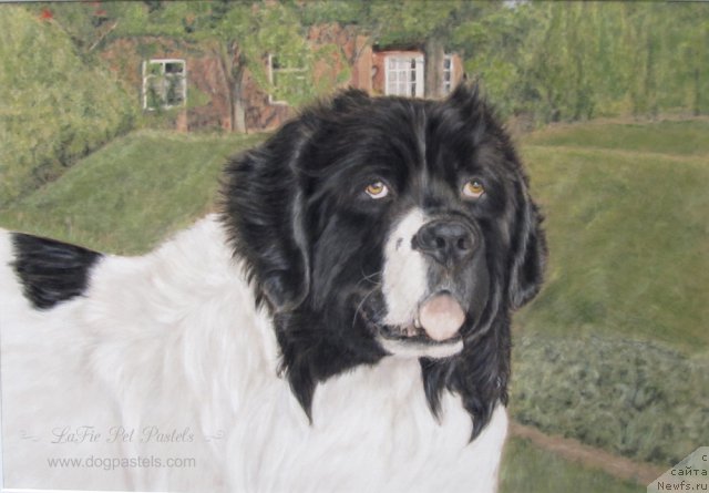 Фотография № 195170