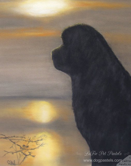 Фотография № 195171