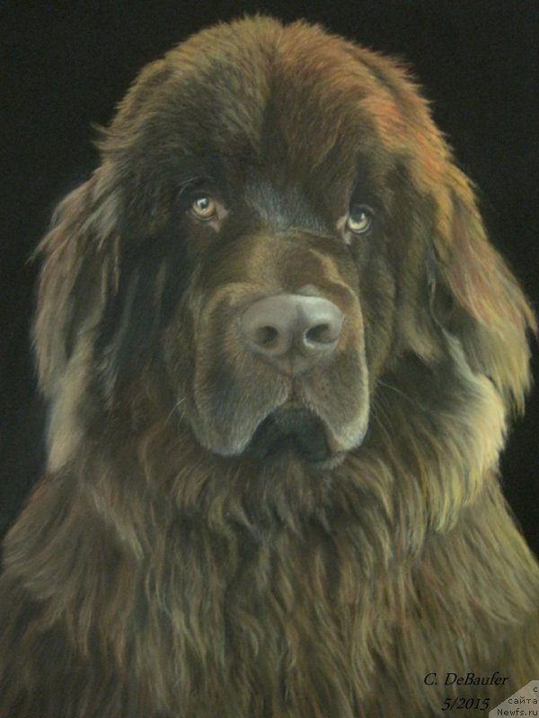 Фотография № 195175