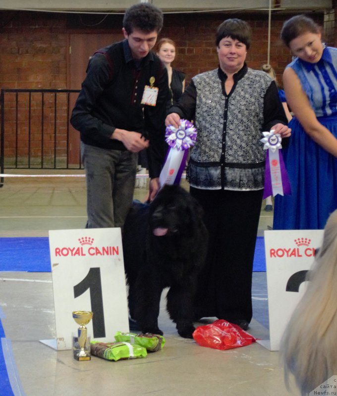 Фотография № 195195