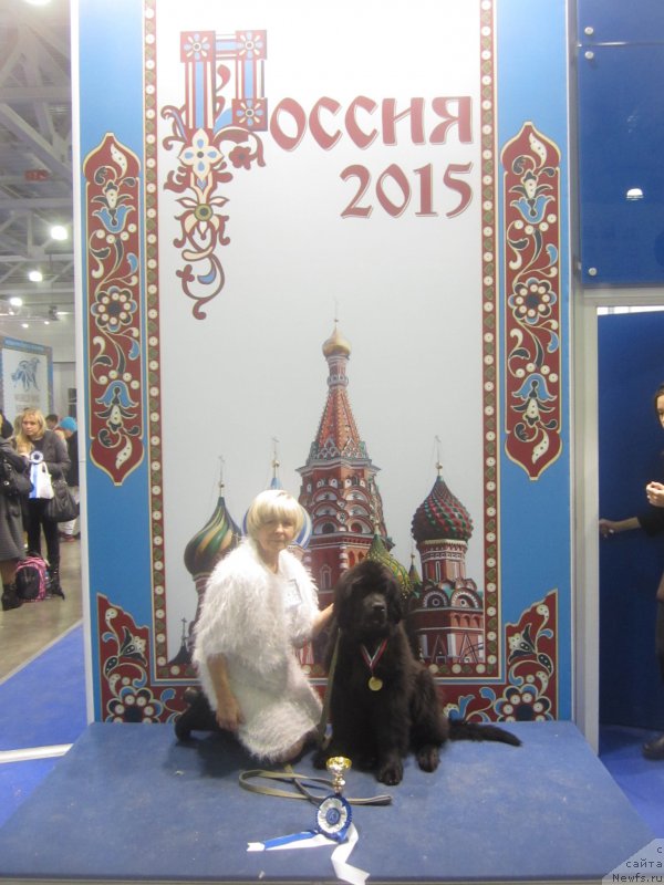 Фотография № 195226