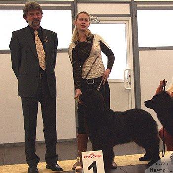 Фото: ньюфаундленд Гленджоан Эксо (Glendzhoah Ekso)