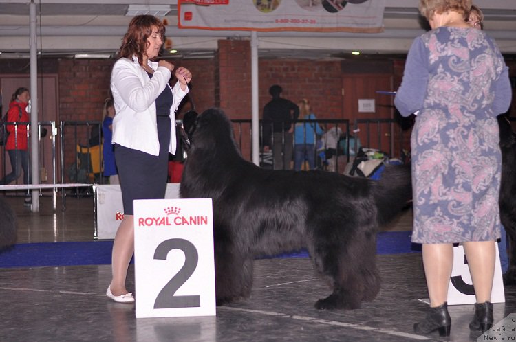 Фотография № 195304