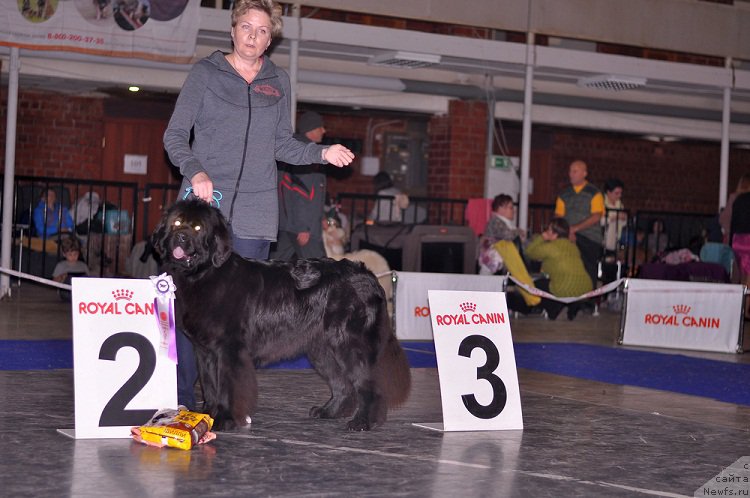 Фотография № 195306