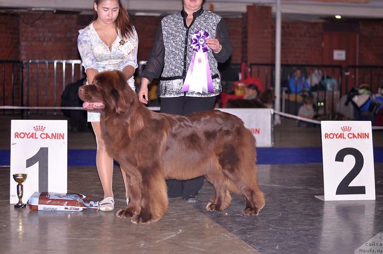 Фотография № 195309