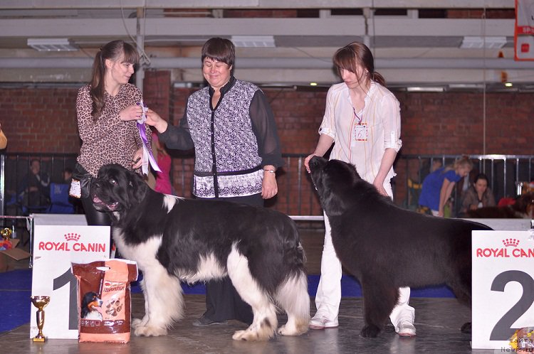 Фотография № 195310