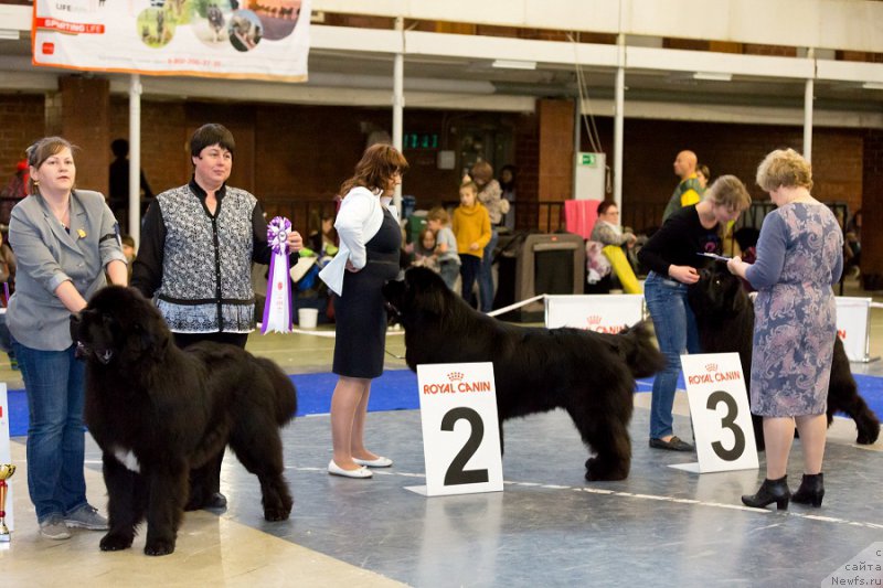 Фотография № 195313