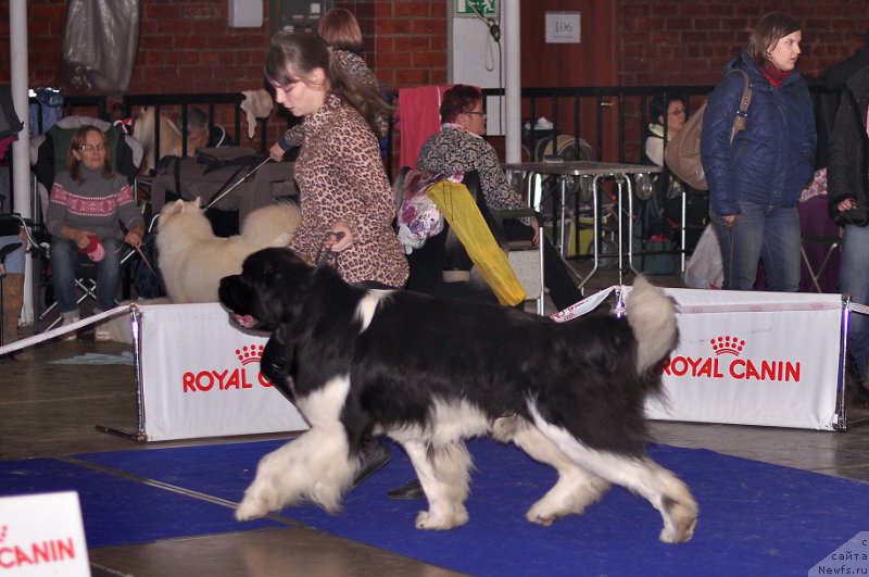 Фотография № 195315