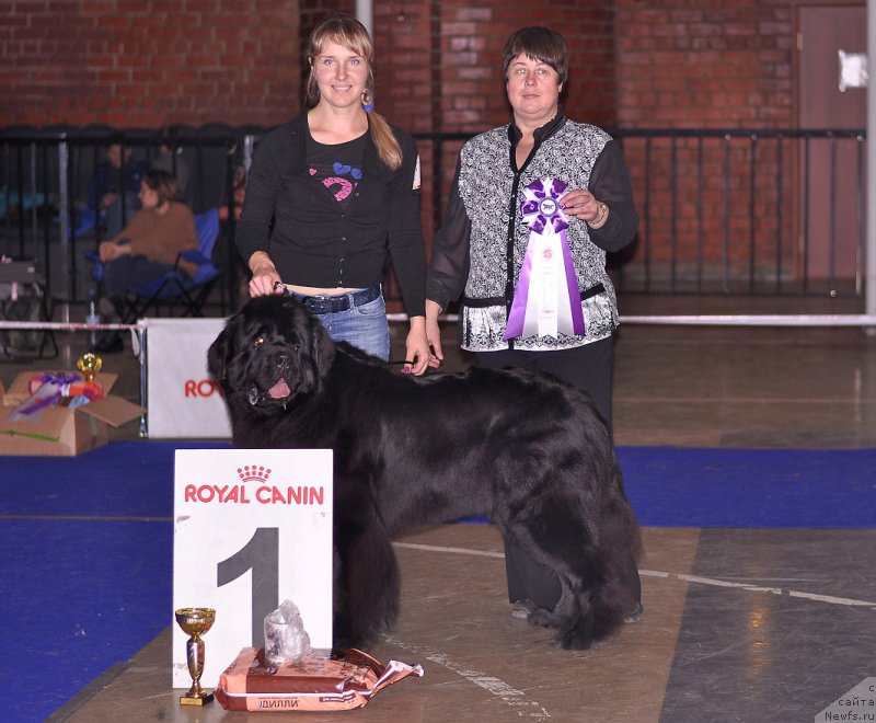 Фотография № 195316