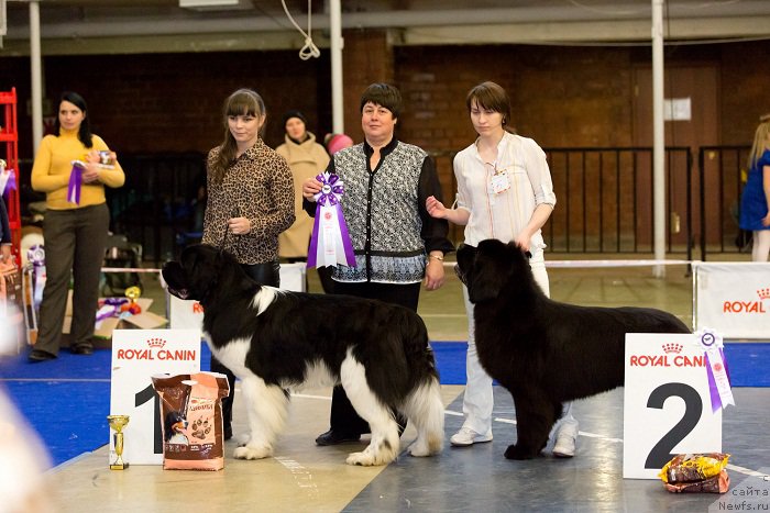 Фотография № 195317