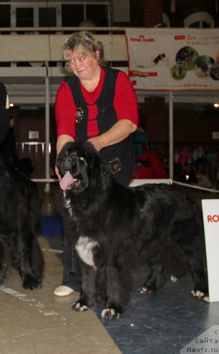 Фотография № 195320