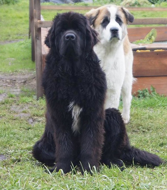 Фотография № 195325