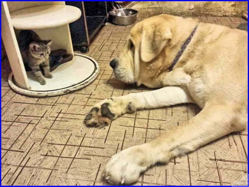 Фотография № 195329