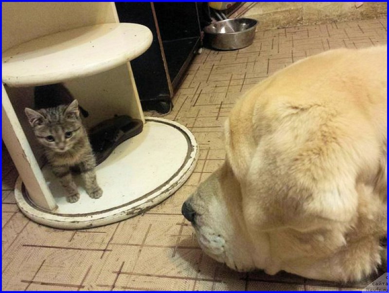 Фотография № 195330