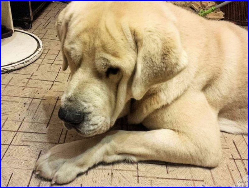 Фотография № 195331