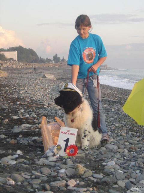 Фотография № 19538