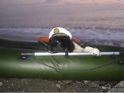 Фотография № 19539