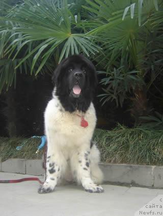 Фотография № 19545