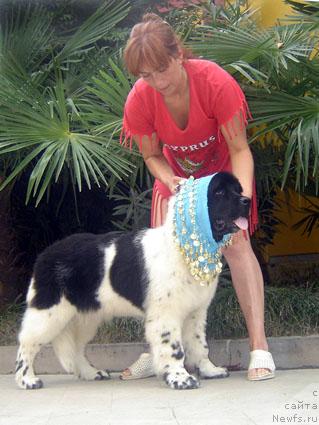 Фотография № 19546