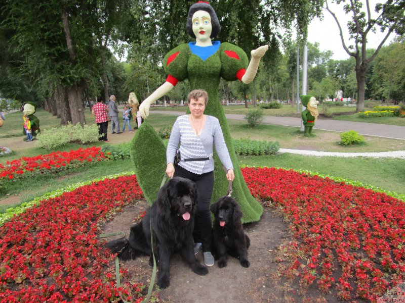 Фотография № 195505